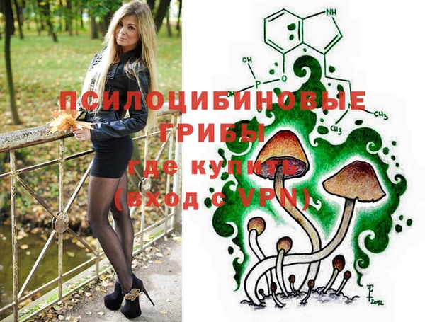 кокаин Богданович