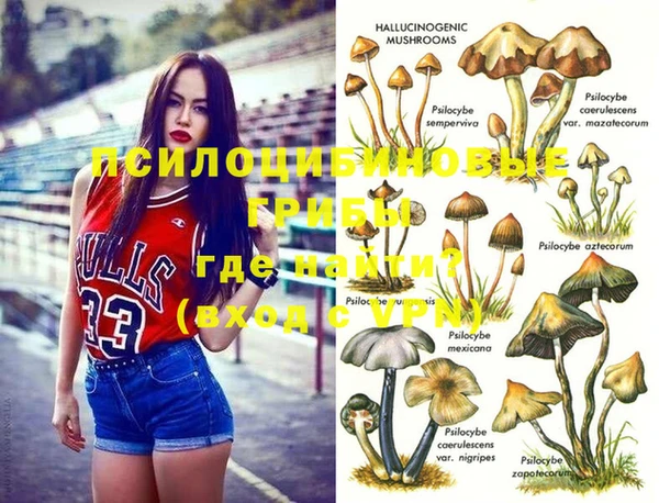 марки nbome Богородицк