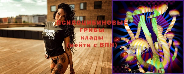марки nbome Богородицк