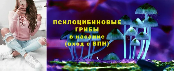 марки nbome Богородицк