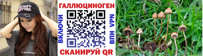 Псилоцибиновые грибы MAGIC MUSHROOMS  Ахтырский 